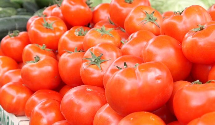 Agrosaveti - paradajz Agrosaveti - paradajz
