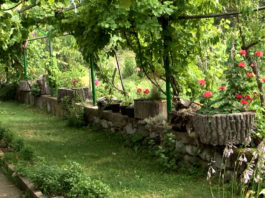Agrosaveti - Seoski turizam 02