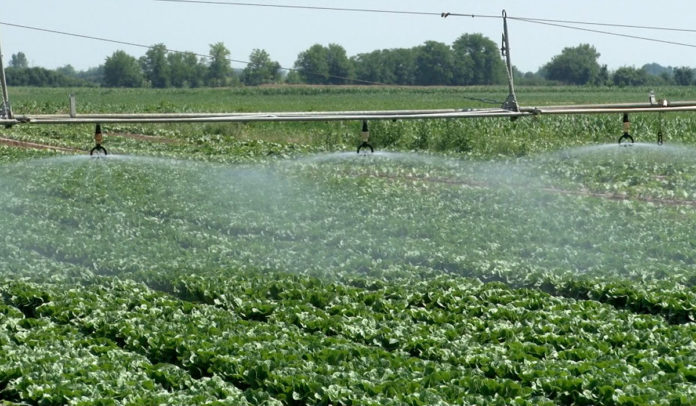 Agro aveti - Sistem za navodnjavanje 01