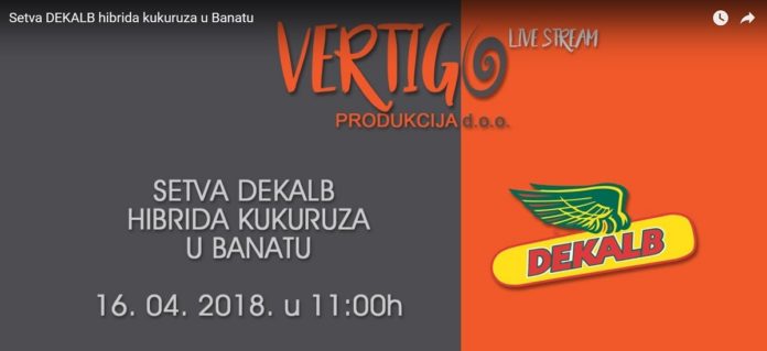 Agrosaveti - Setva Dekalb hibrida u Banatu