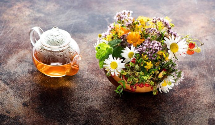 Agrosaveti - Lekovito bilje 01