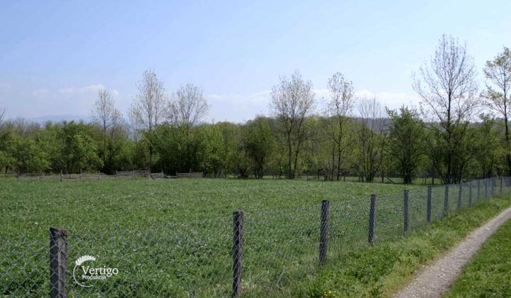 Agrosaveti - Aktivnosti PSSS Kraljevo 01
