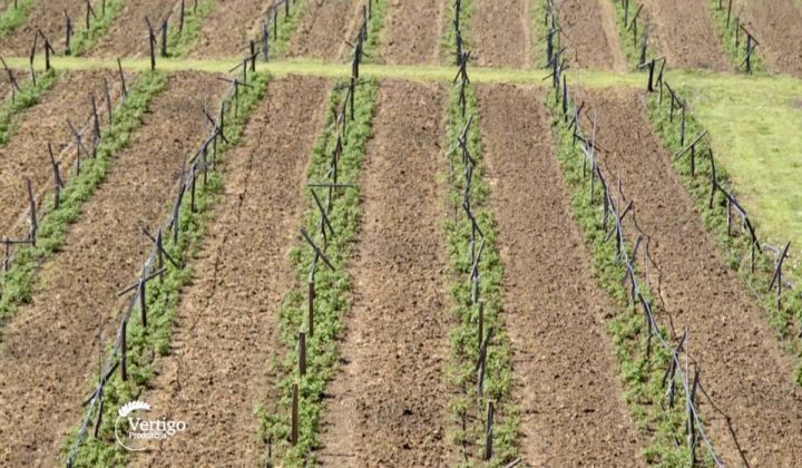 Agrosaveti - Aktivnosti PSSS Kraljevo 04
