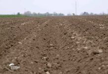 Agrosaveti - Drzavno poljoprivredno zemljiste 01