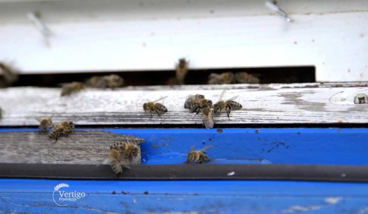 Agrosaveti - Proizvodnja meda u selu Neresnica 01