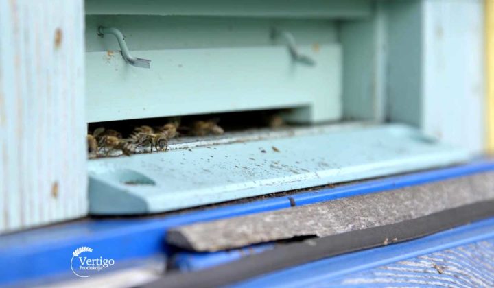 Agrosaveti - Proizvodnja meda u selu Neresnica 06