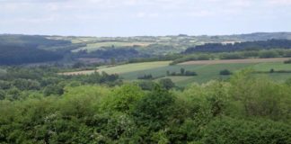 Agrosaveti - Ratarska proizvodnja Cukarica 01