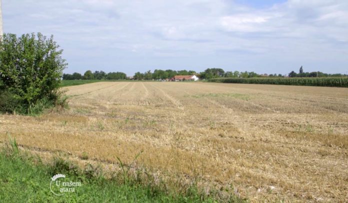 Agrosaveti - Posledice vremenskih neprilika 04