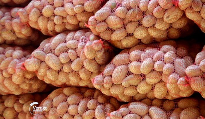 Agrosaveti - Semenski krompir Gornji Banjani 01 Agrosaveti - Semenski krompir Gornji Banjani 01