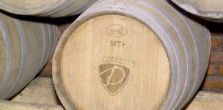 Agrosaveti - Dangubini vinogradi 03
