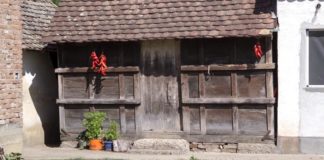 Agrosaveti - Povrtarsko - voćarska proizvodnja 04
