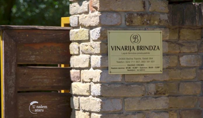 Agrosaveti - Vinarija Brindza 01