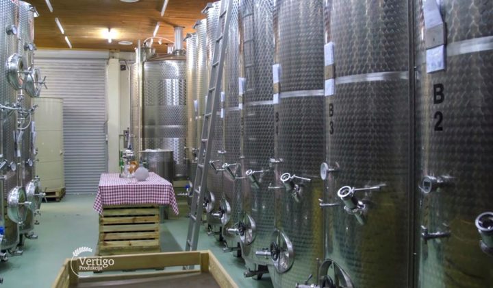 Agrosaveti - Vinarija Brindza 13
