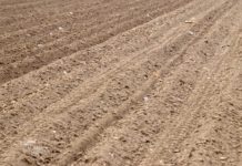 Ratari ostaju bez zemlje Agrosaveti - Zakup državne zemlje 01