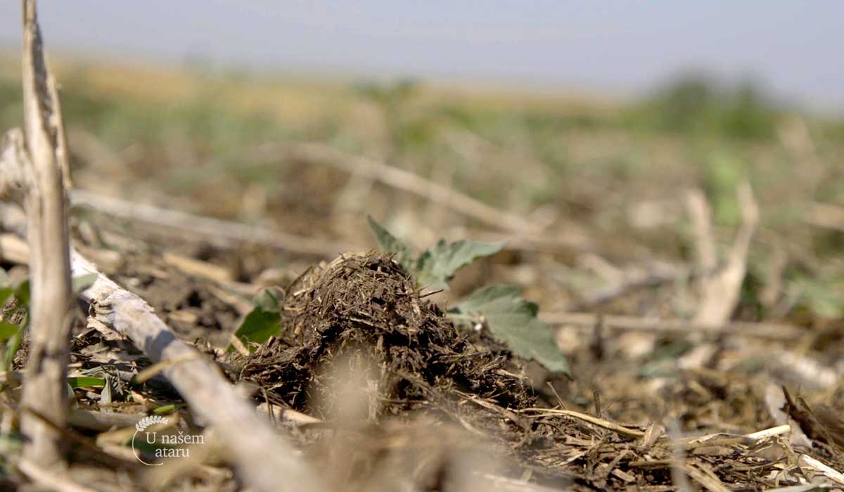 Agrosaveti - Izbor zemljišta za organsku proizvodnju 02