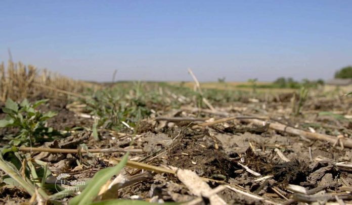 Agrosaveti - Izbor zemljišta za organsku proizvodnju 03 Agrosaveti - Izbor zemljišta za organsku proizvodnju 03
