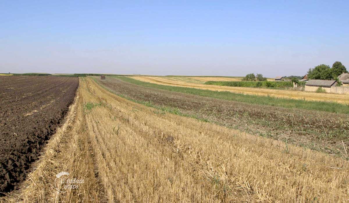 Agrosaveti - Izbor zemljišta za organsku proizvodnju 04