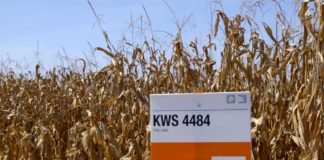 Agrosaveti - Dani polja kompanije KWS 01