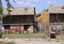 Poljoprivrednici neće voditi knjige Agrosaveti - Neodustajanje od poljoprivrede 04