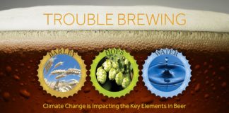 Agrosaveti - Pivske žitarice 01