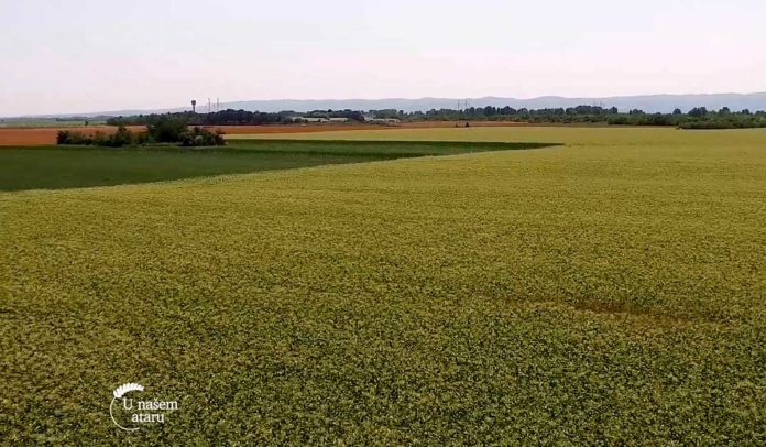 Agrosaveti - Precizna poljoprivreda u ratarstvu 04