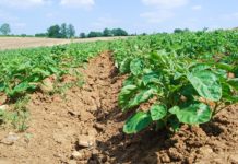 Agrosaveti - Tužba protiv ministarstva 02