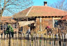 Agrosaveti - Delta holding započinje razvoj dva zaječarska sela 01