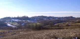 Agrosaveti - Aktivnosti savetodavnih službi 02
