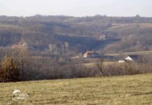 Agrosaveti---Seoski-turizam-u-Lipovici---01