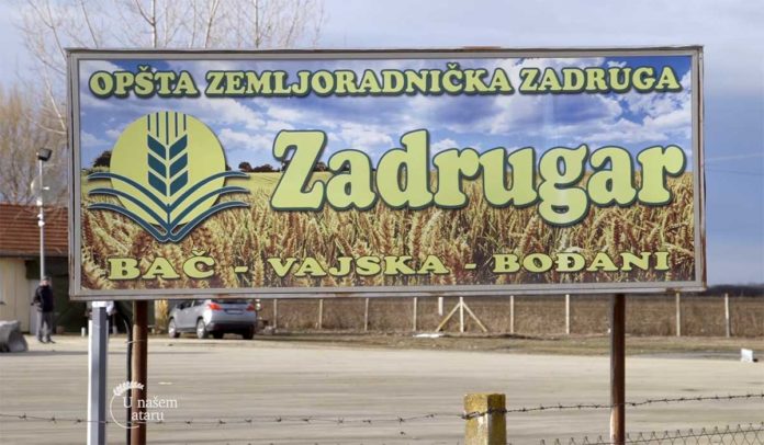 Agrosaveti---ZZ-Zadrugar-Bac---03