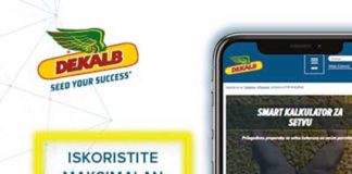 Agrosaveti---Dekalb-Kalkulator