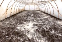 Agrosaveti---Plastenicka-proizvodnja-povrca---01