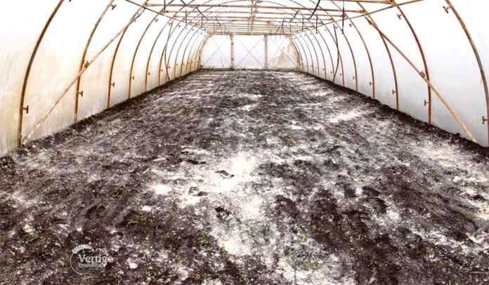 Agrosaveti---Plastenicka-proizvodnja-povrca---01 Agrosaveti---Plastenicka-proizvodnja-povrca---01