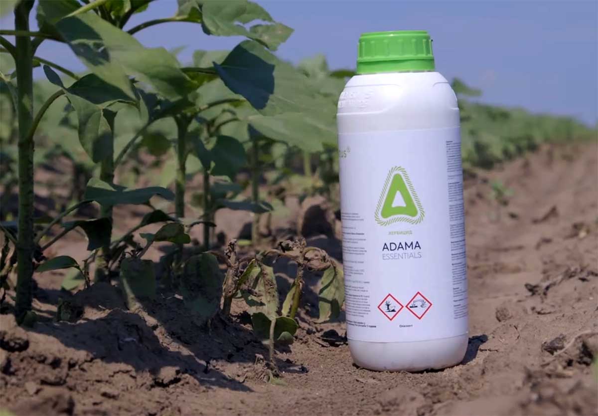 Agrosaveti---Adama---Saltus---suncokret---02