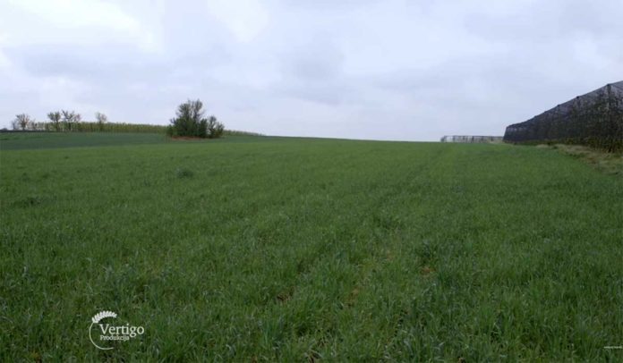 Agrosaveti---Ratarska-proizvodnja-Surduk---01