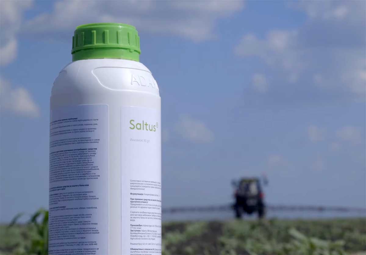 Agrosaveti---Adama---Saltus---suncokret---01