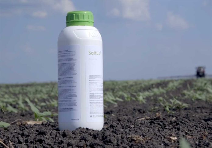 Agrosaveti---Adama---Saltus---suncokret---03 Agrosaveti---Adama---Saltus---suncokret---03