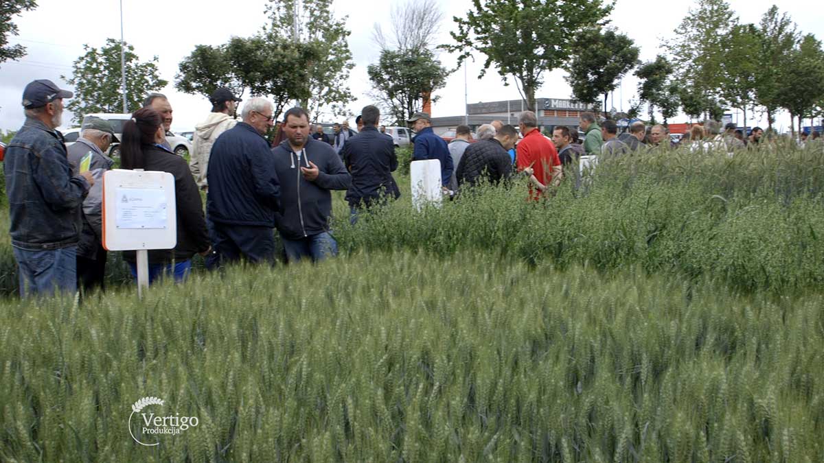 Agrosaveti---Adama---Dan-polja---03