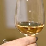 Vina iz sela Lopušnik Agrosaveti---Vina---Lopusnik---vinograd---02
