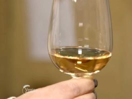 Agrosaveti---Vina---Lopusnik---vinograd---02