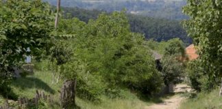 Agrosaveti---Problem-puta---Selo-Mramorac---02