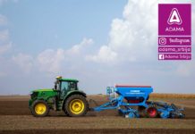 Agrosaveti---Adama---uljana-repica---jesenja-zastita---ulje---setva-uljane-repice---tehnologija-gajenja