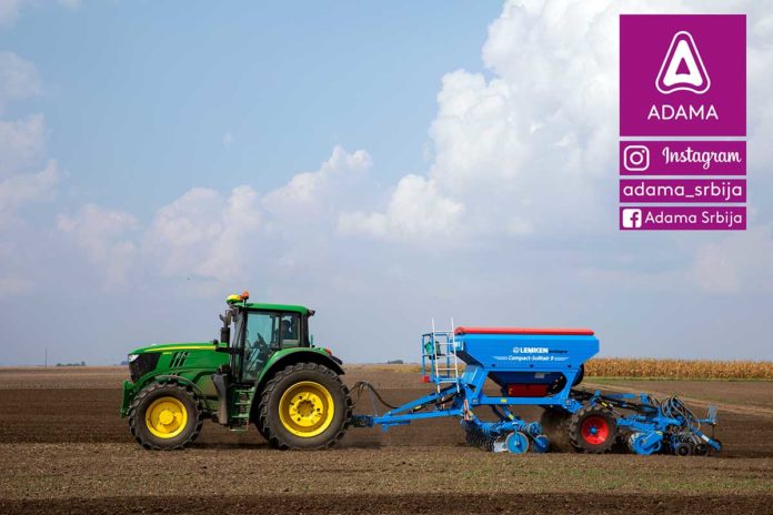 Agrosaveti---Adama---uljana-repica---jesenja-zastita---ulje---setva-uljane-repice---tehnologija-gajenja