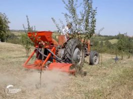 Agrosaveti---Freza-sa-ulagacem-za-djubrivo---02
