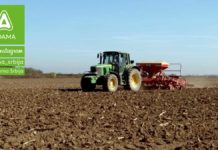Agrosaveti---Adama---psenica---setva---gajenje---zastita---herbicid