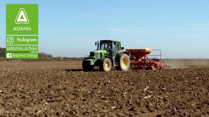 Agrosaveti---Adama---psenica---setva---gajenje---zastita---herbicid