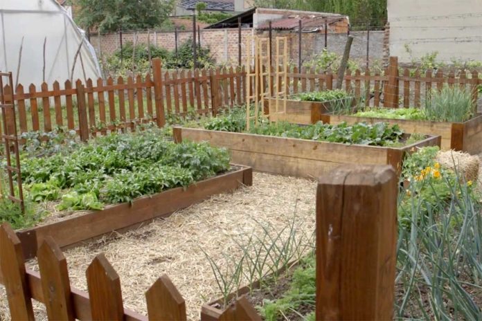 Agrosaveti---bio-basta---Zrenjanin---01 Agrosaveti---bio-basta---Zrenjanin---01