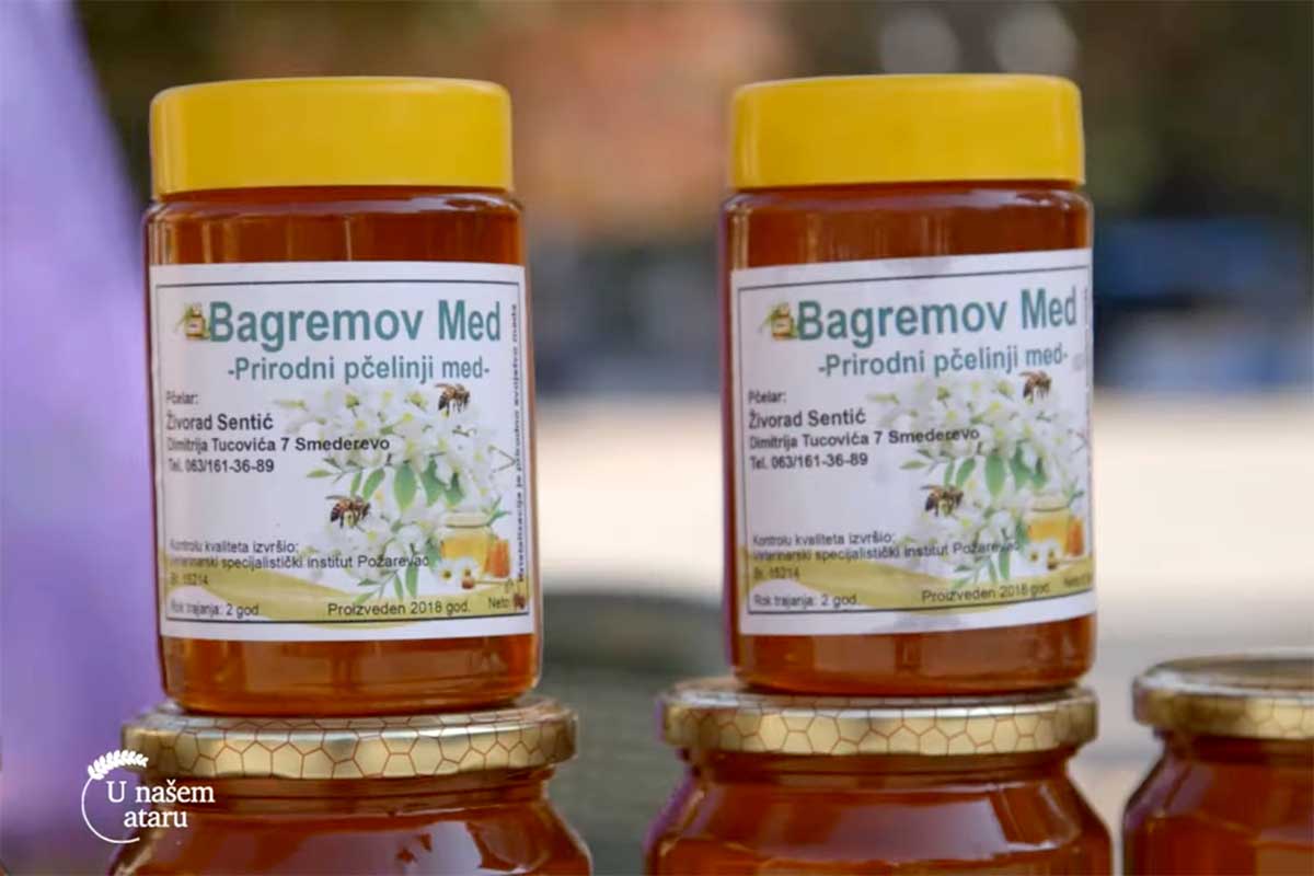 Agrosaveti---med---Smederevo---pcele---02