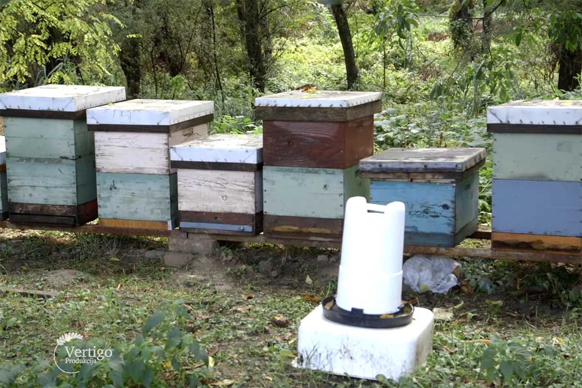 Agrosaveti---pcelarenje---proizvodnja-meda---Backa-Palanka---03