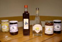 Agrosaveti---prerada-voca---Tastina-kuhinja---04